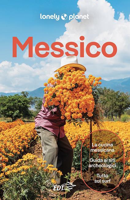 Messico - AA.VV.,Lonely Planet - ebook