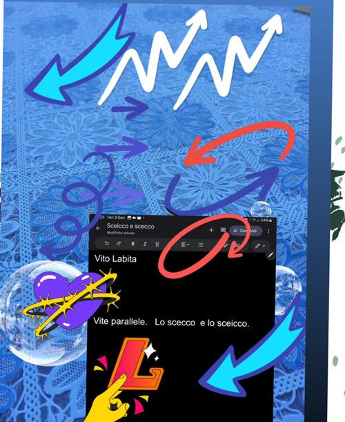 Vite parallele. Lo scecco e lo sceicco - labita vito - ebook