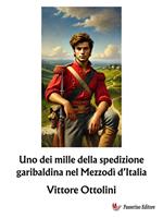 Uno dei mille della spedizione garibaldina nel Mezzodì d'Italia