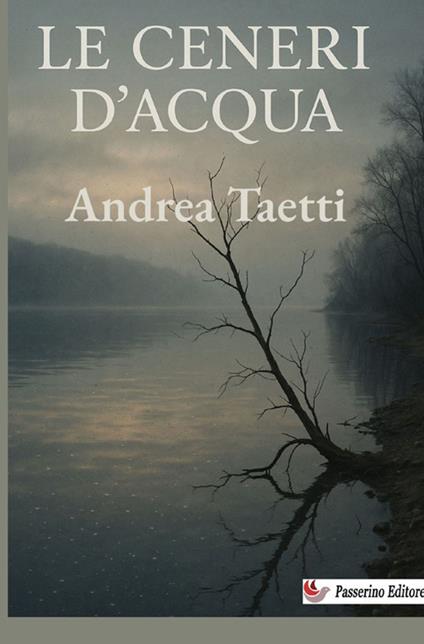 Le ceneri d'acqua - Andrea Taetti - copertina