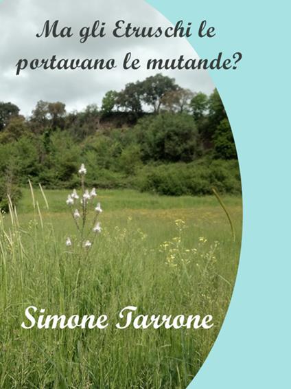 Ma gli etruschi le portavano le mutande? - Simone Tarrone - ebook