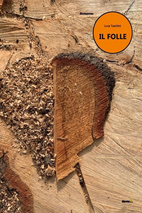 Il folle - Luca Taschini - ebook