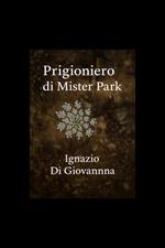 Prigioniero di Mister Park