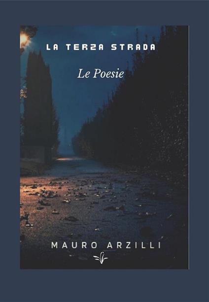La terza strada - Mauro Arzilli - ebook