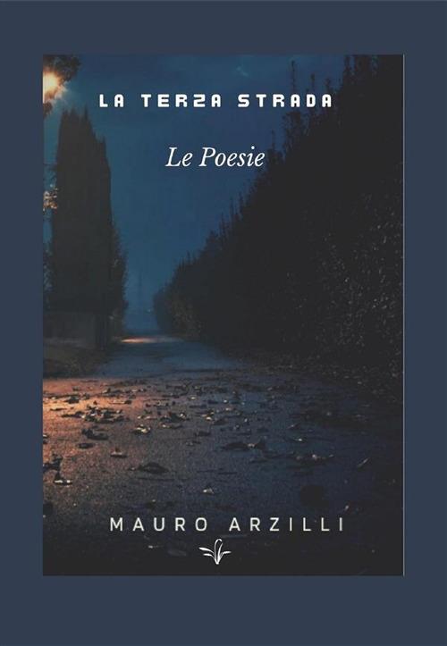 La terza strada - Mauro Arzilli - ebook