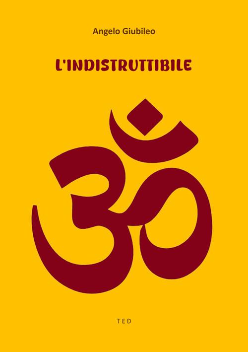 L' indistruttibile - Angelo Giubileo - ebook