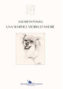 Una semplice storia d'amore