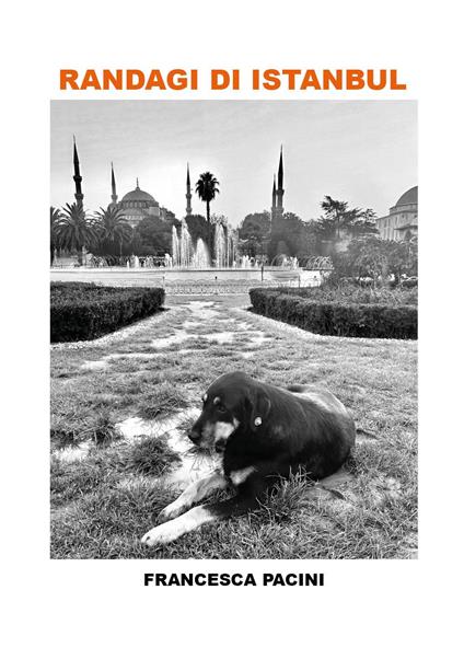 Randagi di Istanbul - Francesca Pacini - copertina