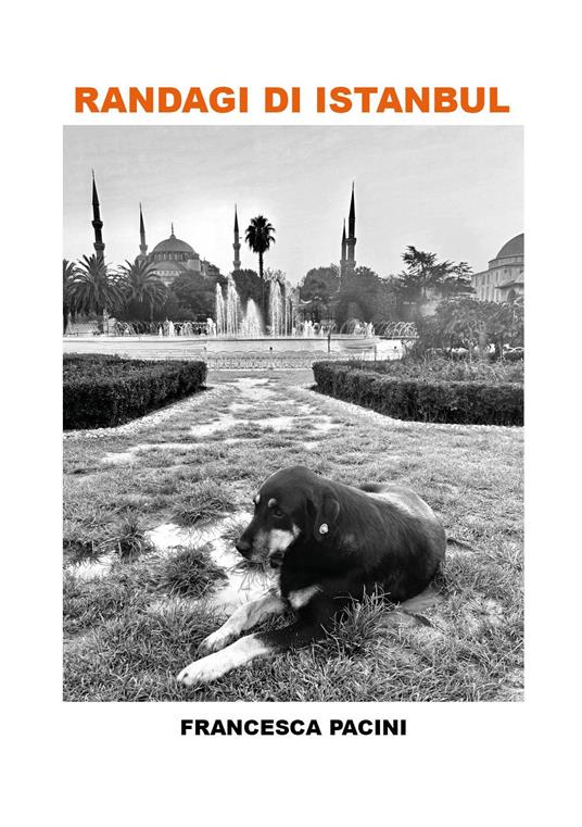 Randagi di Istanbul - Francesca Pacini - copertina