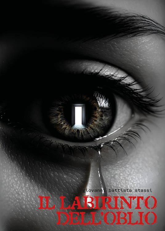 Il labirinto dell'oblio - Giovanni Battista Stassi - copertina