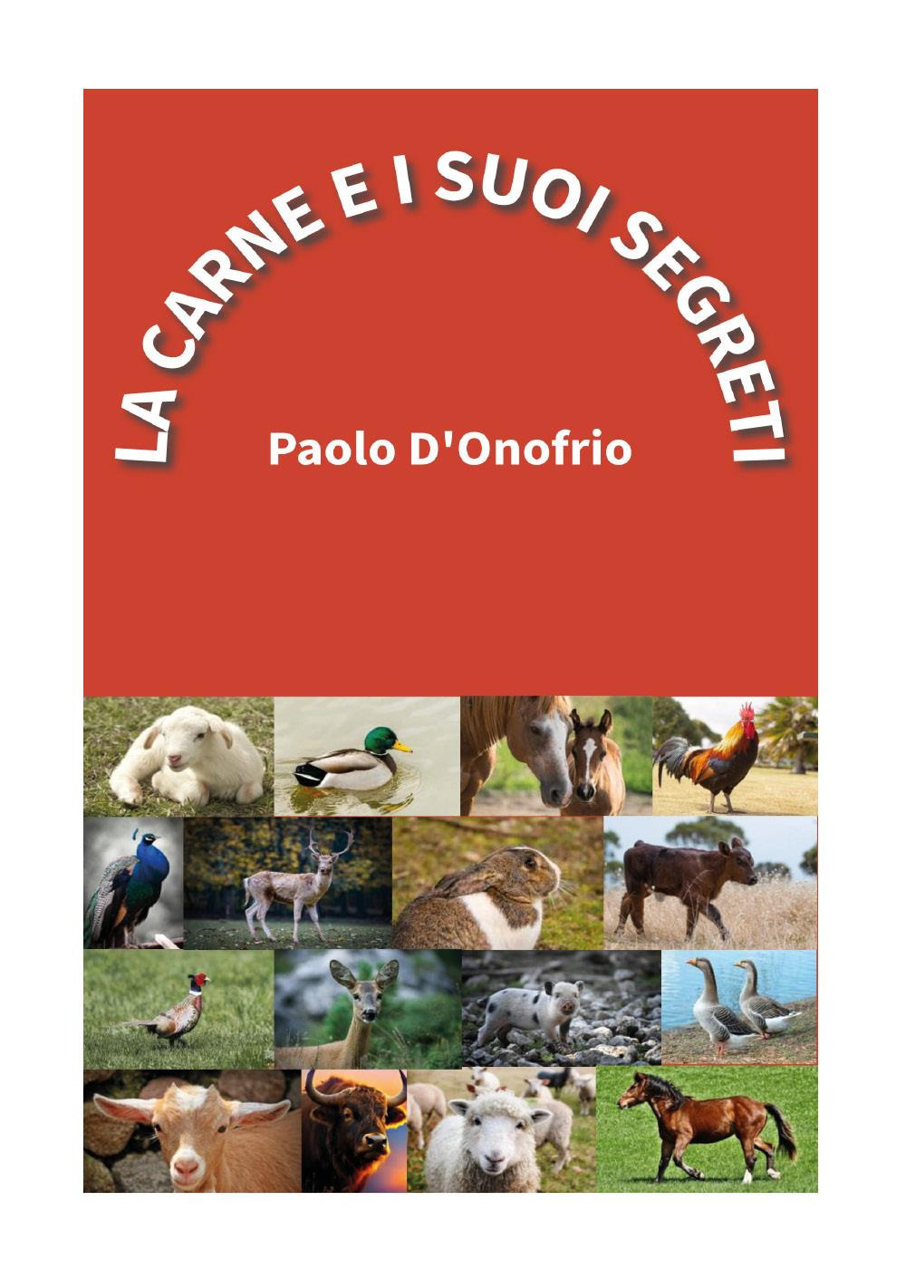 Emozioni Media Store