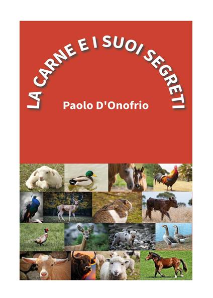 La carne e i suoi segreti - Paolo D'Onofrio - copertina