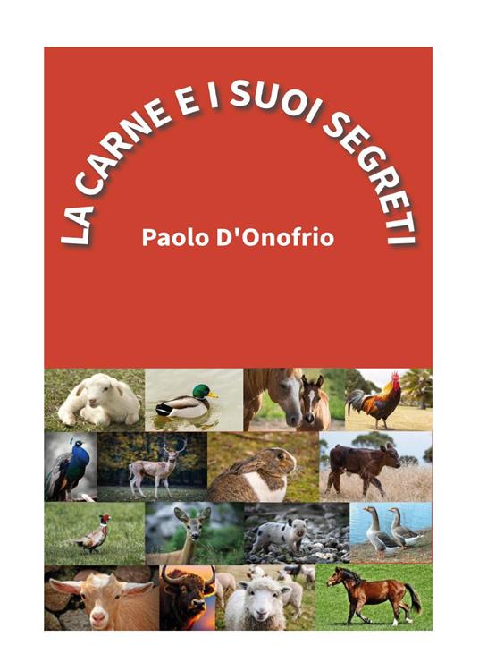 La carne e i suoi segreti - Paolo D'Onofrio - copertina