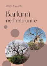 Barlumi nell'imbrunire