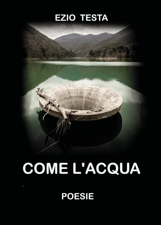 Come l'acqua - Ezio Testa - copertina