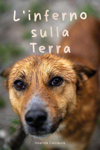 L'inferno sulla terra - Iolanda Calcaura - copertina