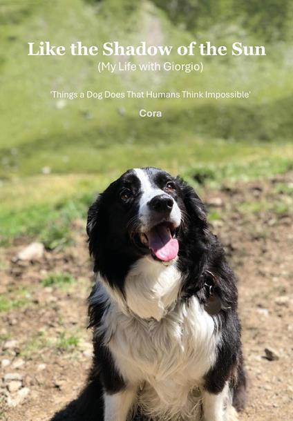 Like the shadow of the sun (My life with Giorgio) - Cora - copertina