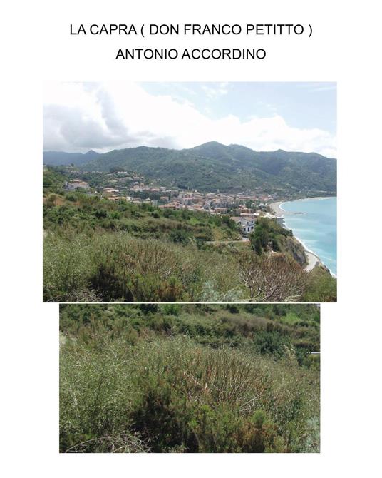 La capra (Don Franco Petitto) - Antonio Accordino - copertina