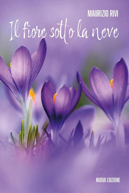 Il fiore sotto la neve - Maurizio Rivi - copertina
