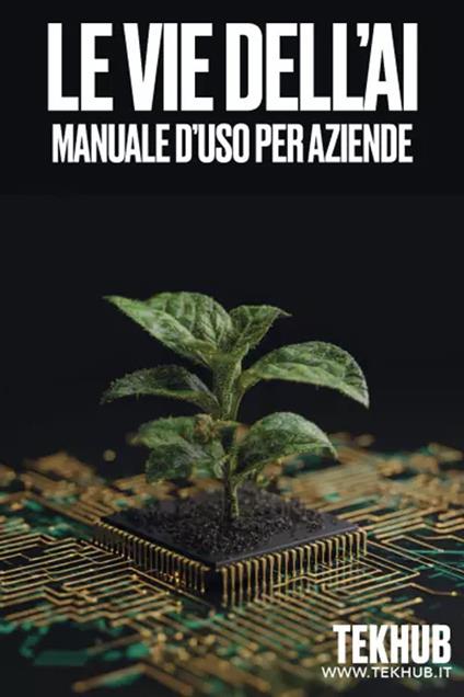 Le vie dell'AI. Manuale d'uso per aziende - Massimiliano Redolfi,Massimo Gelmini,Giorgio Bontempi - copertina
