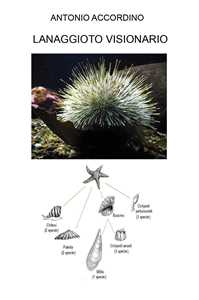 Libro Lanaggioto visionario Antonio Accordino