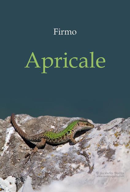 Apricale - Firmo - copertina