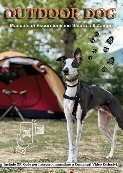 Outdoor dog. Manuale di escursionismo sicuro a 6 zampe - Francesco Sulpizi - copertina