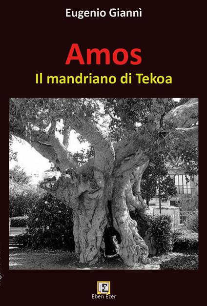 Amos. Il mandriano di Tekoa - Eugenio Giannì - copertina