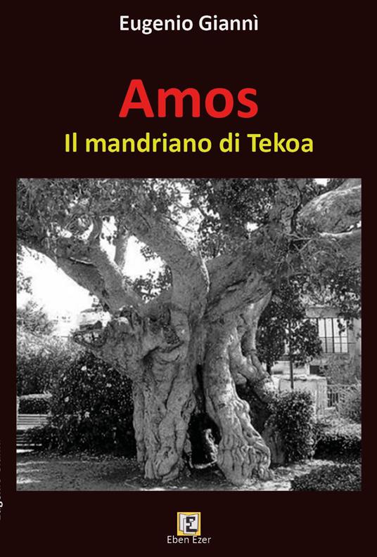 Amos. Il mandriano di Tekoa - Eugenio Giannì - copertina