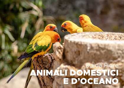 Libro Animali domestici e d'oceano Daida Fiore