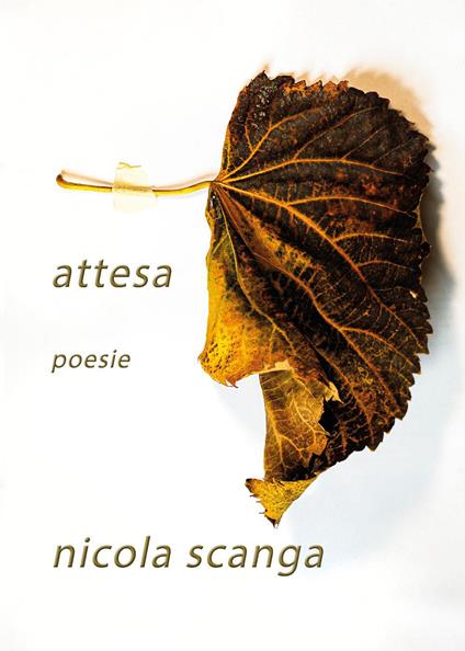 Attesa - Nicola Scanga - copertina
