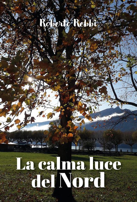 La calma luce del Nord - Roberto Rebbi - copertina
