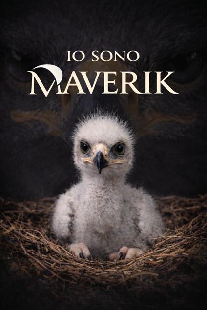 Io sono Maverik - David The Eagle man - copertina