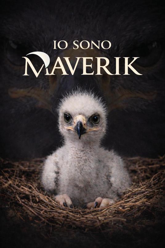Io sono Maverik - David The Eagle man - copertina
