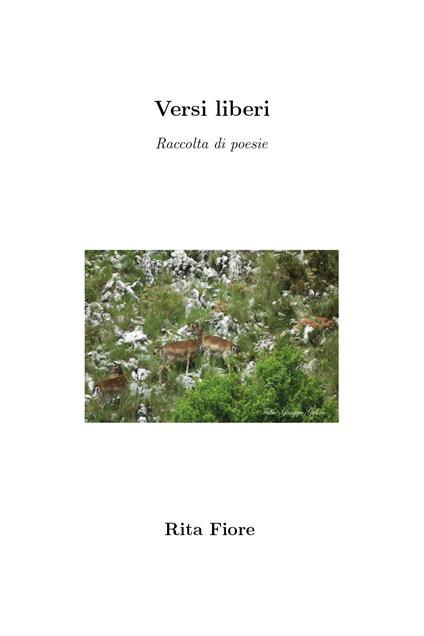 Versi liberi - Rita Fiore - copertina
