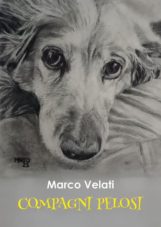 Compagni pelosi - Marco Velati - copertina