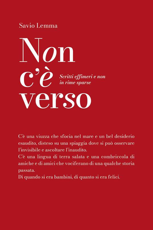 Non c'è verso - Savio Lemma - copertina