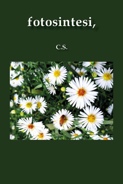 fotosintesi, - C.S. - copertina