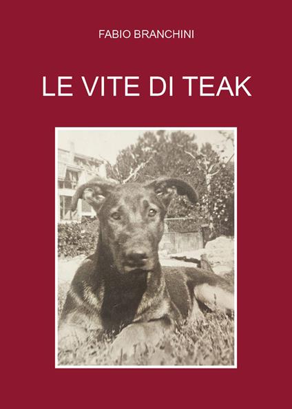 Le vite di Teak - Fabio Branchini - copertina