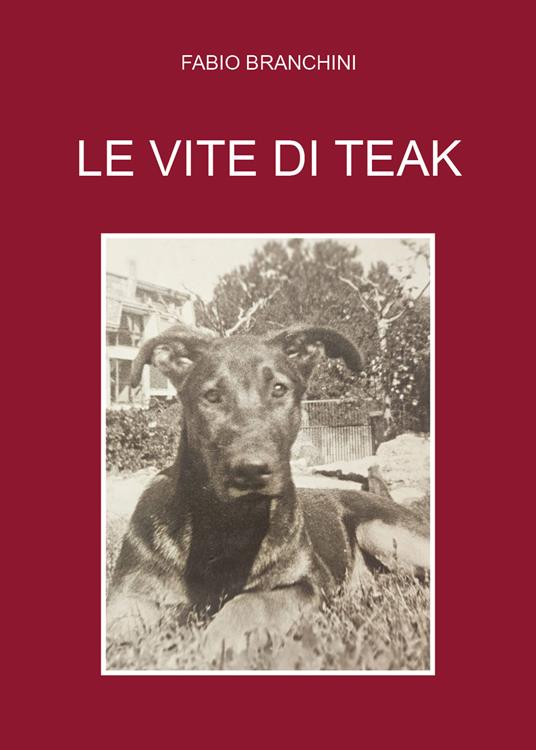 Le vite di Teak - Fabio Branchini - copertina