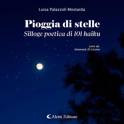 Pioggia di stelle