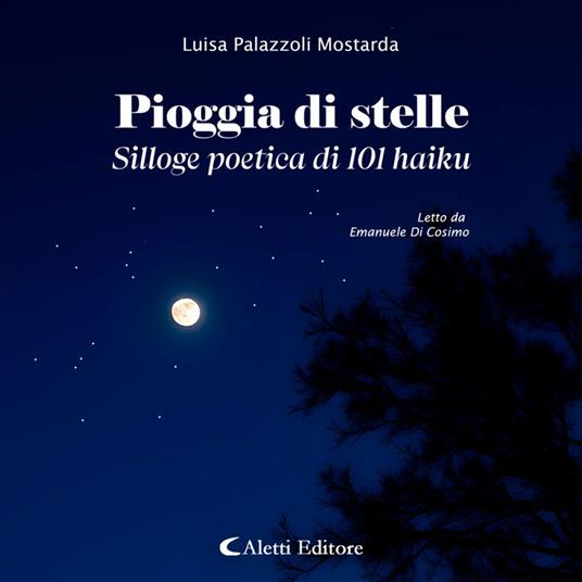 Pioggia di stelle
