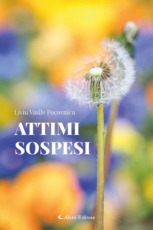 Attimi sospesi - Liviu Vasile Pocovnicu - copertina