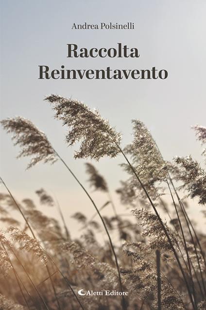 Raccolta reinventavento - Andrea Polsinelli - copertina