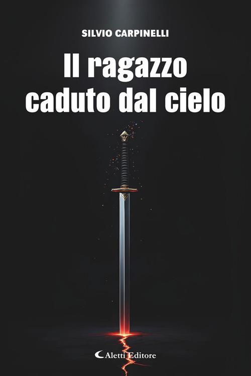 Il ragazzo caduto dal cielo - Silvio Carpinelli - ebook