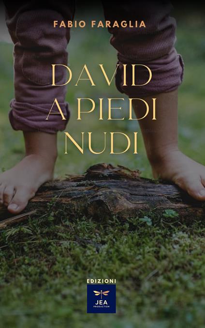 David a piedi nudi - Fabio Faraglia - copertina