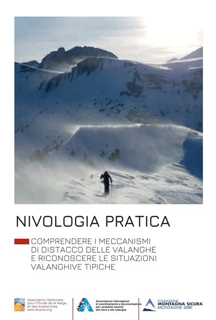 Nivologia pratica. Comprendere i meccanismi di distacco delle valanghe e riconoscere le situazioni valanghive tipiche. Ediz. illustrata - Anena - copertina