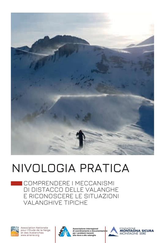 Nivologia pratica. Comprendere i meccanismi di distacco delle valanghe e riconoscere le situazioni valanghive tipiche. Ediz. illustrata - Anena - copertina
