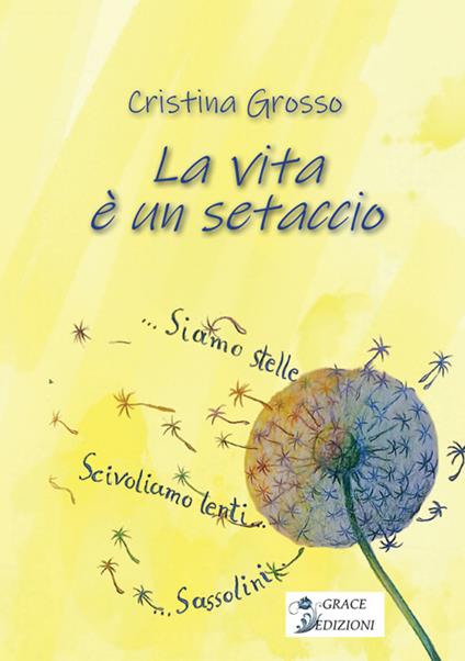 La vita è un setaccio - Cristina Grosso - copertina