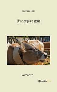 Una semplice storia
